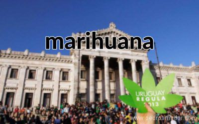 Uruguay legaliza la marihuana